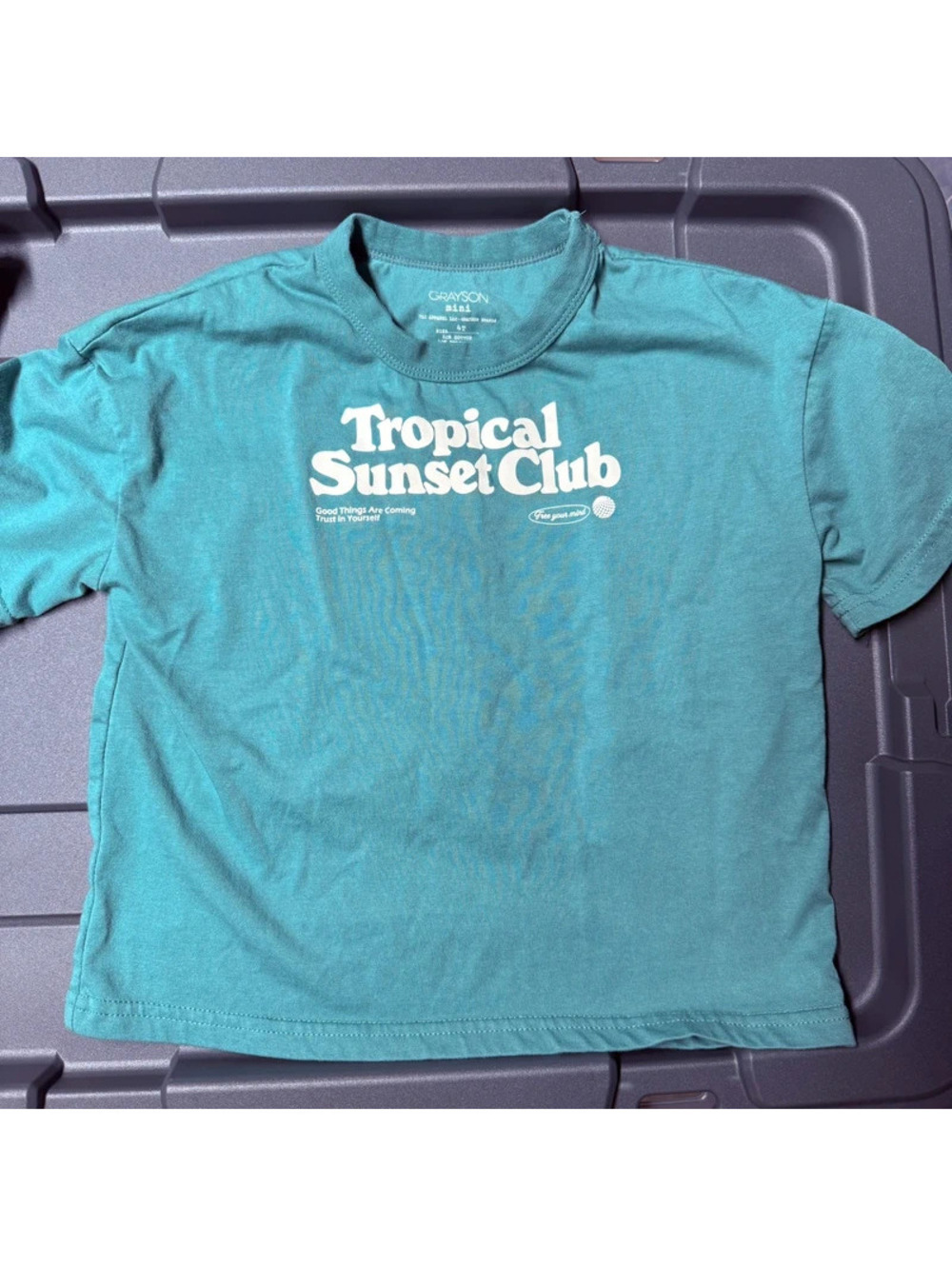 Grayson mini green oversized tropical tee